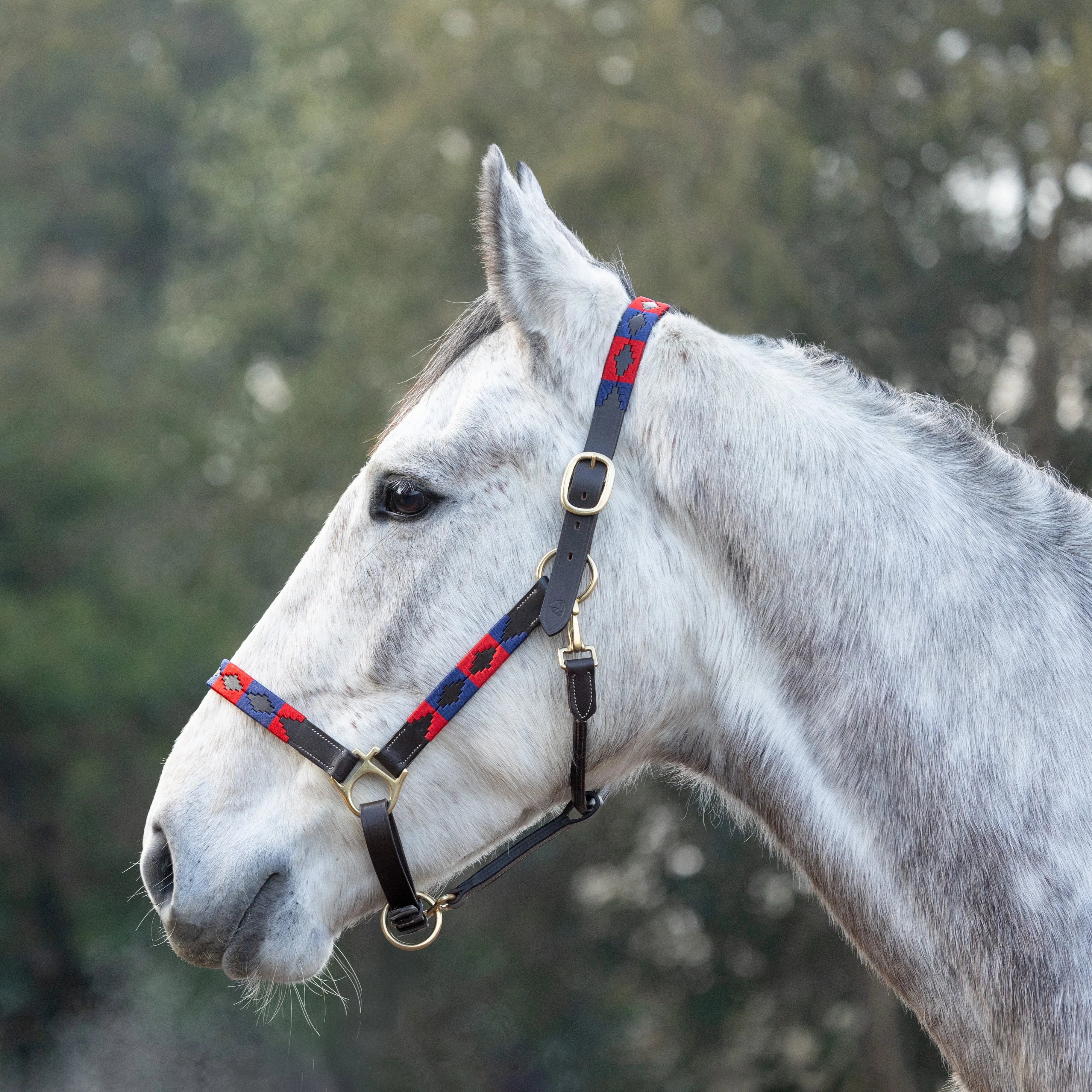 Hy Equestrian Polo Leather Head Collar - Image 2