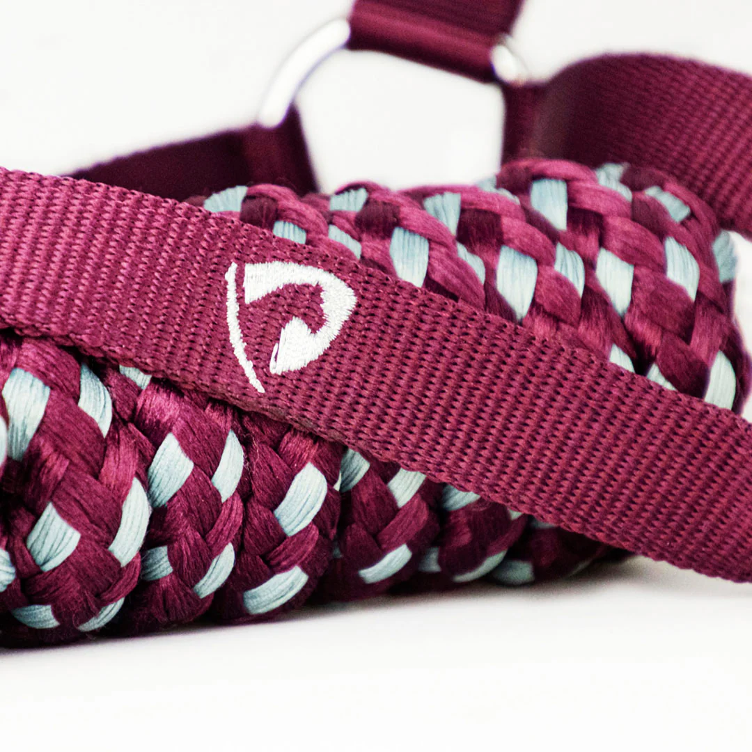 Hy Equestrian Synergy Head Collar and Lead Rope Set - Image 22