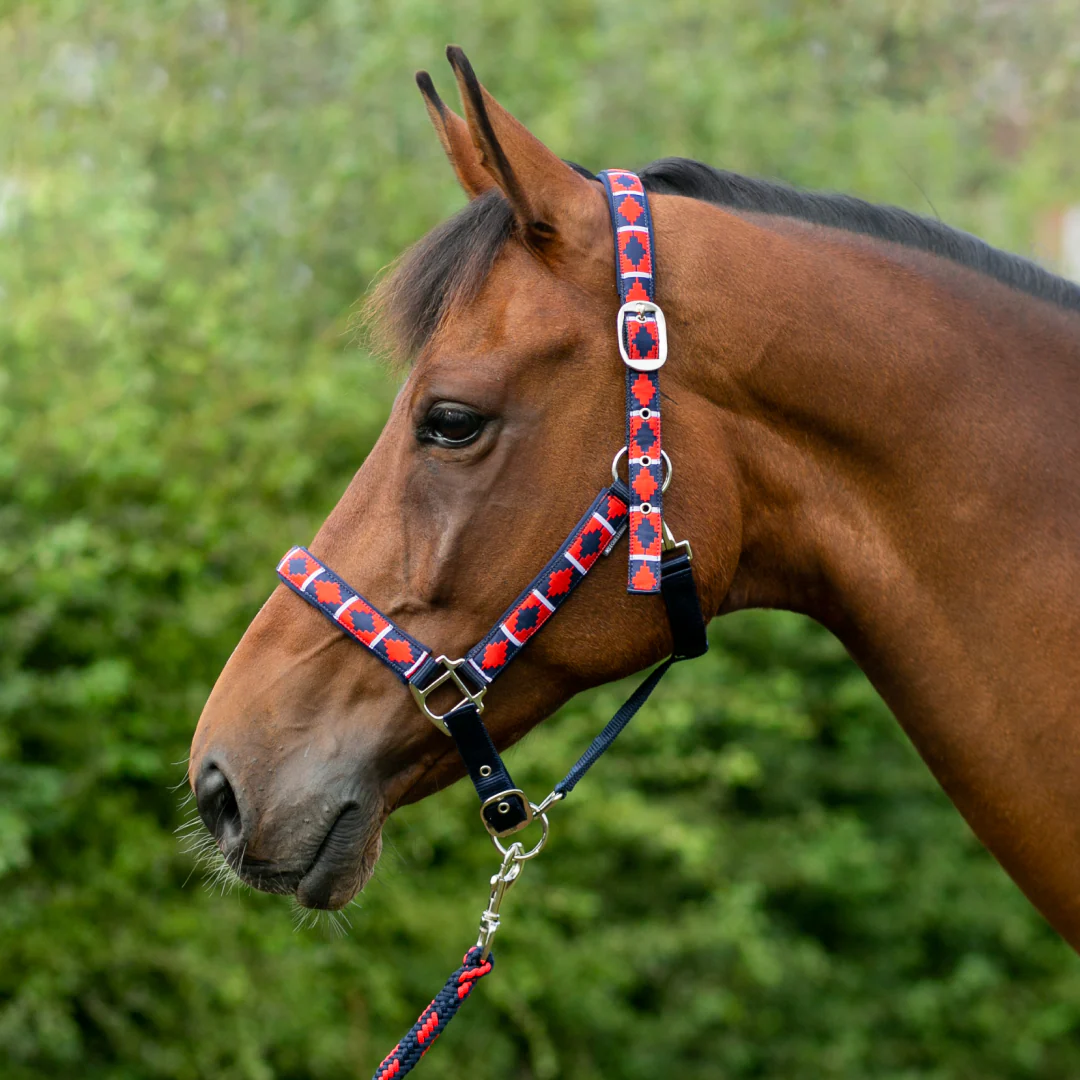 Hy Equestrian Woven Polo Head Collar and Lead Rope - Image 6