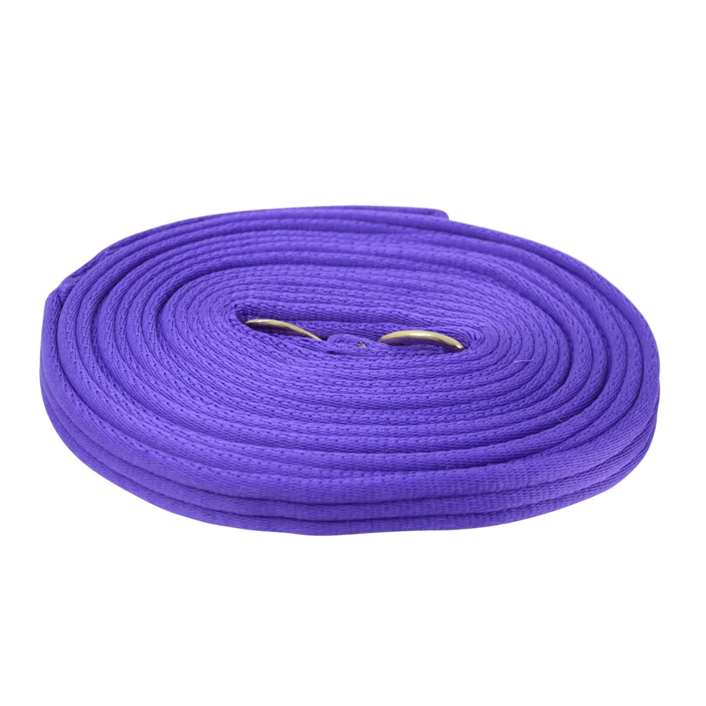 Hy Soft Webbing Lunge Rein - Image 2