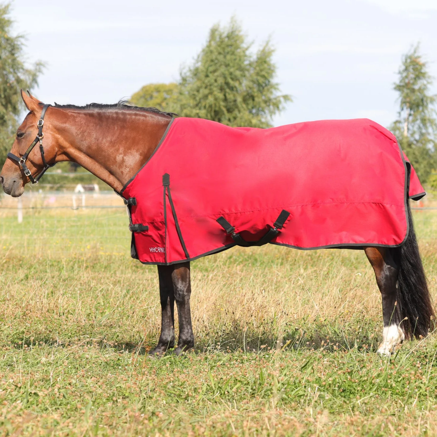 HyCONIC 50g Turnout Rug