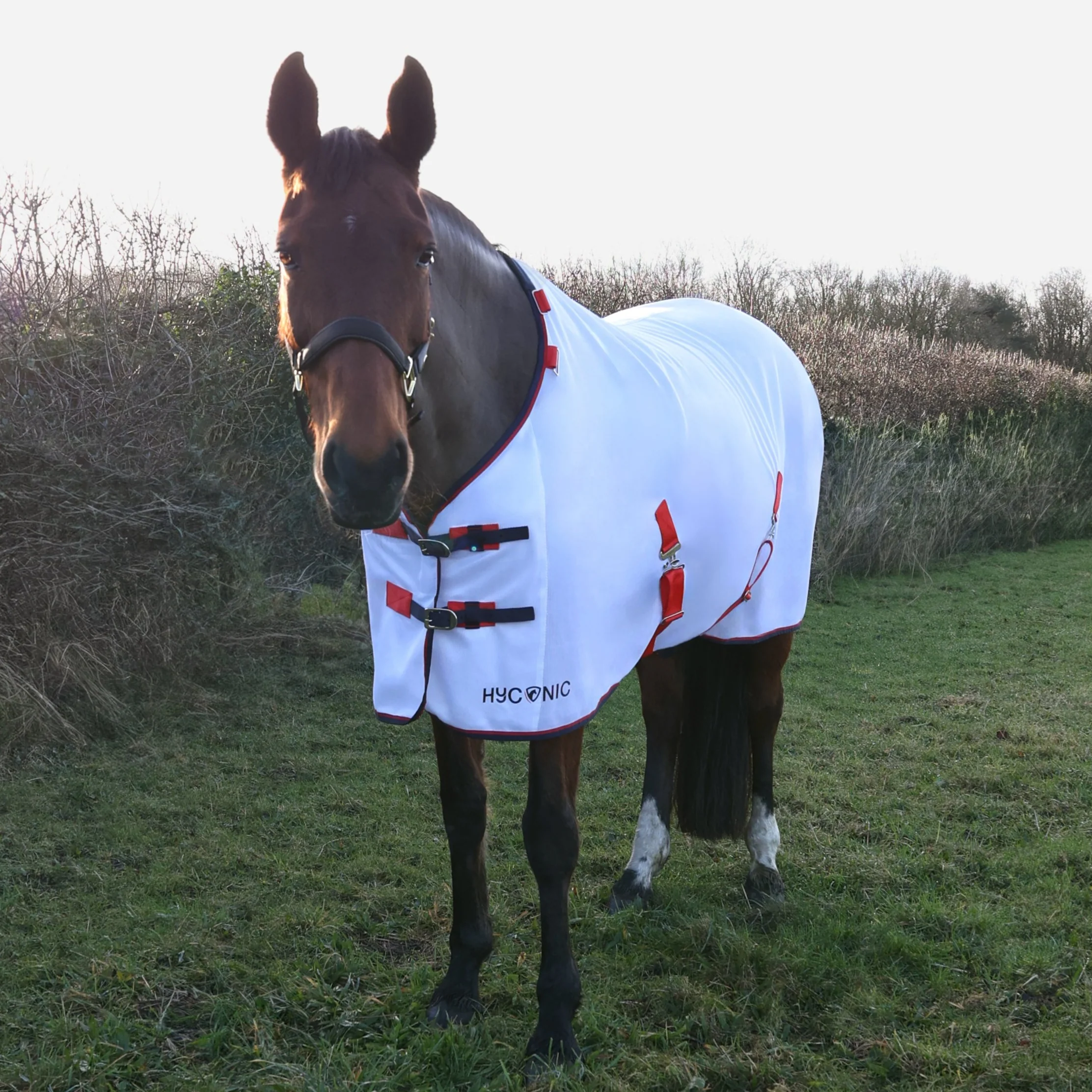 HYCONIC Fly Rug with Detachable Neck - Image 3