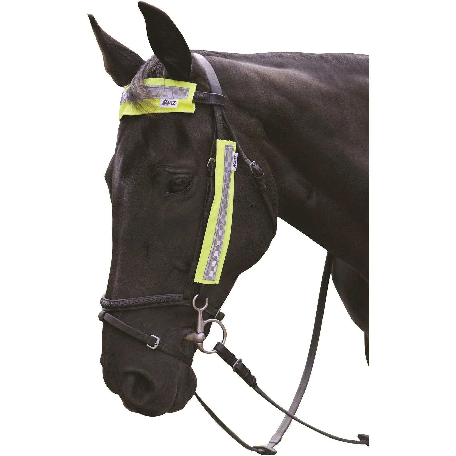 HyVIZ Bridle Set - Image 2