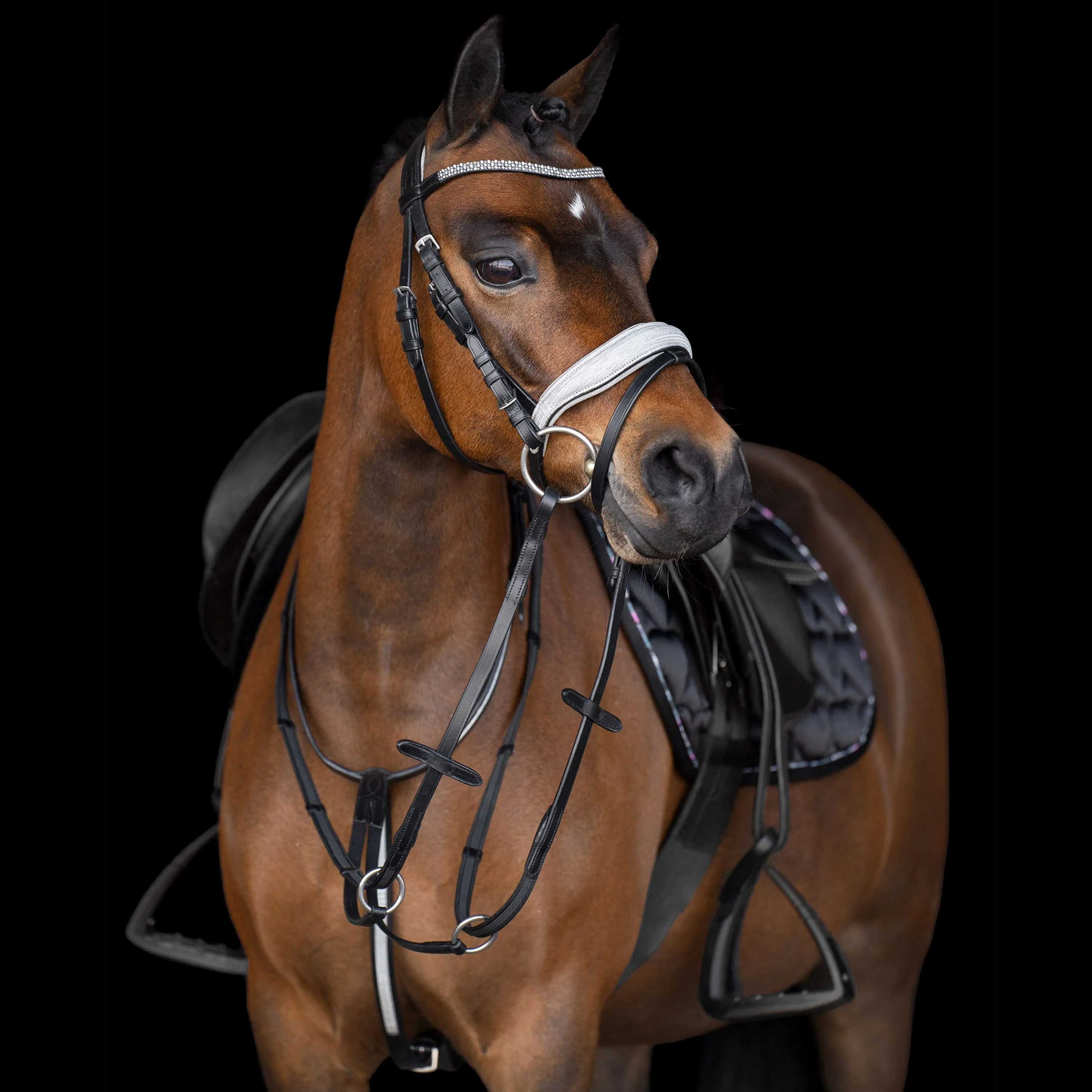 Imperial Riding Rainbow Martingale - Image 2