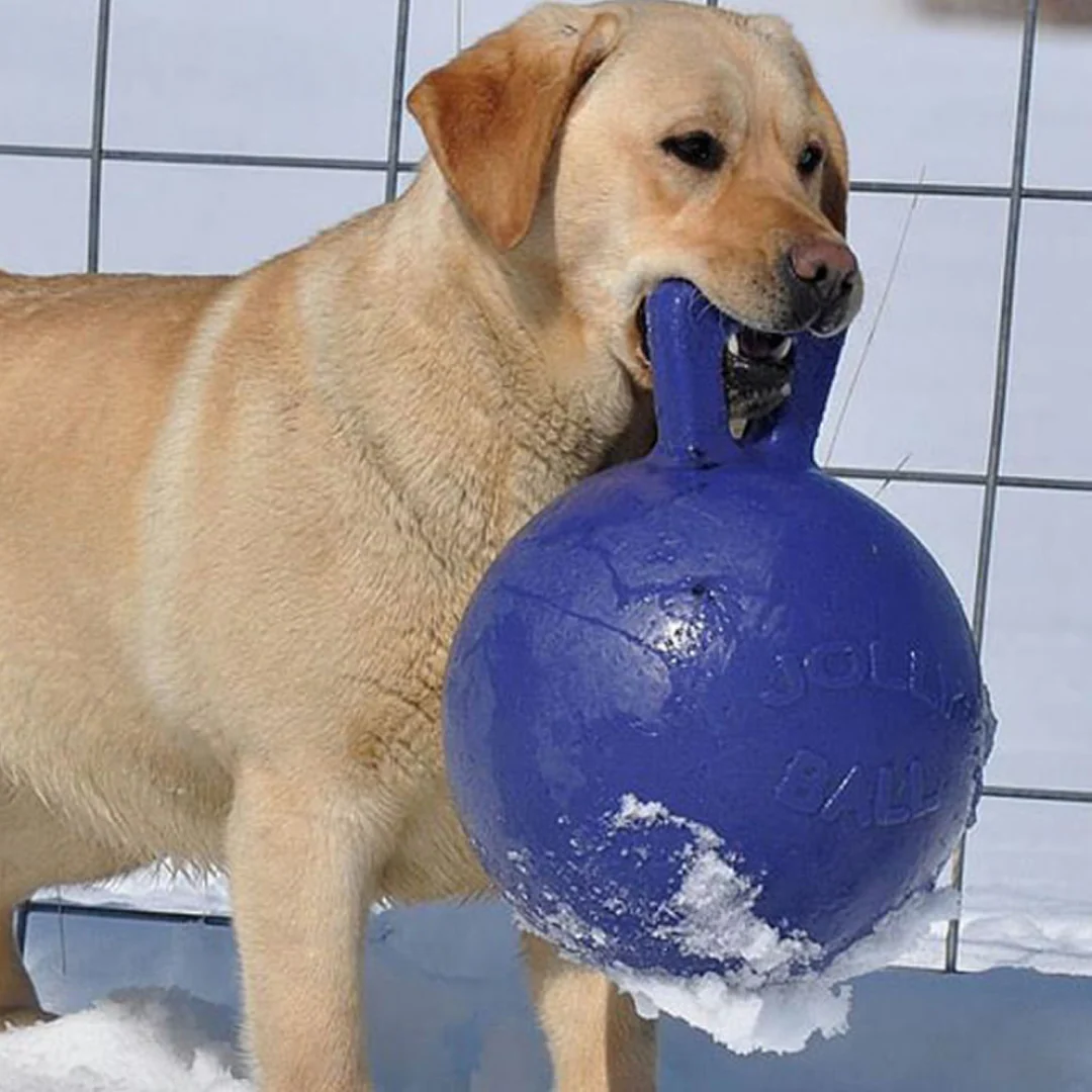 Jolly Pets Tug-n-Toss Jolly Ball - Image 5