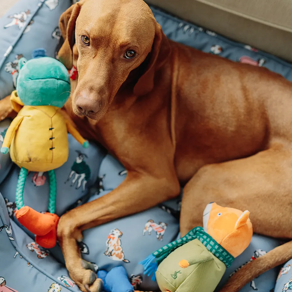 Joules Rope Legs Dog Toy - Image 7