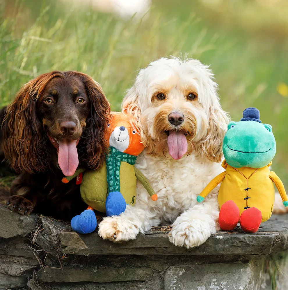 Joules Rope Legs Dog Toy - Image 9