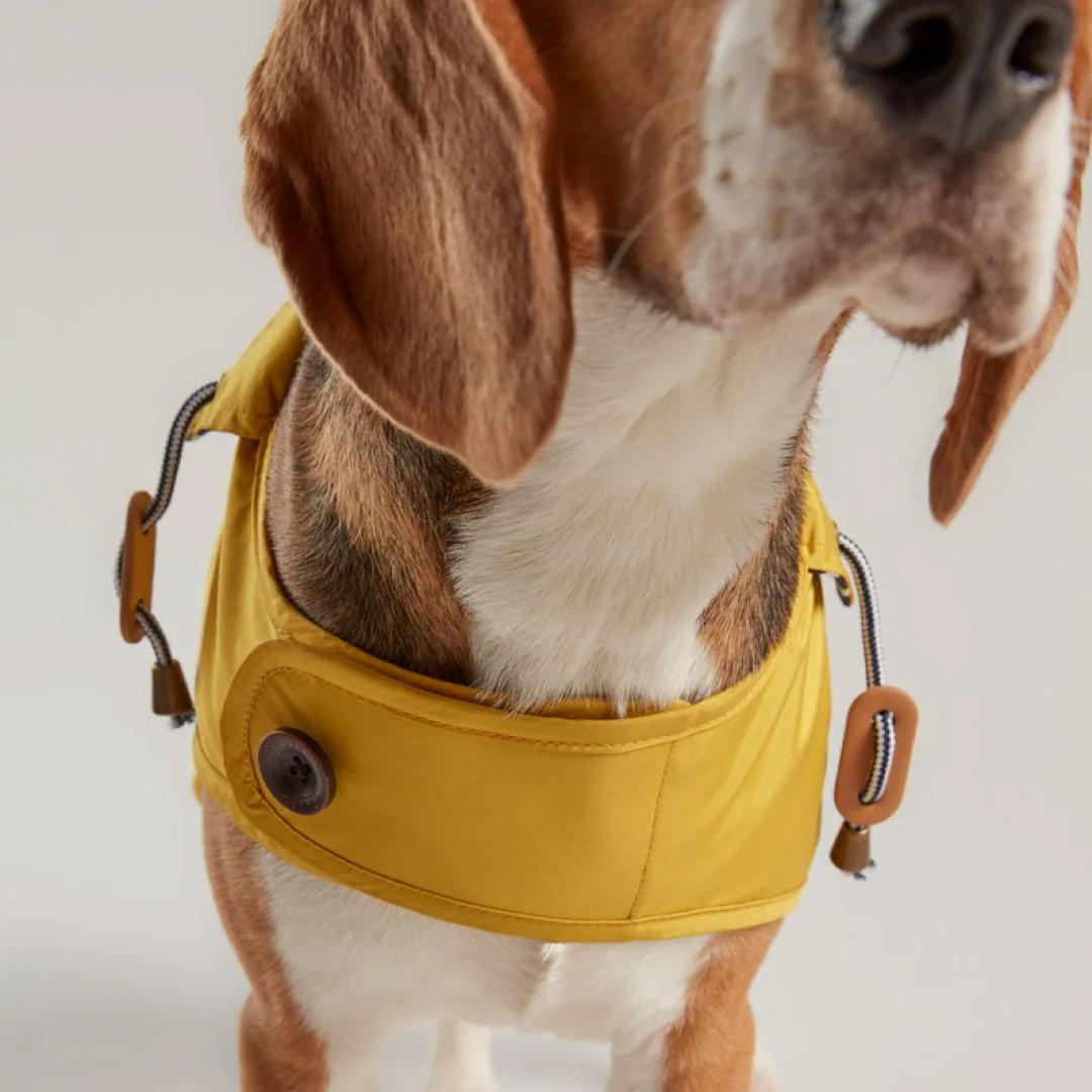 Joules Water Resistant Dog Coat - Image 2