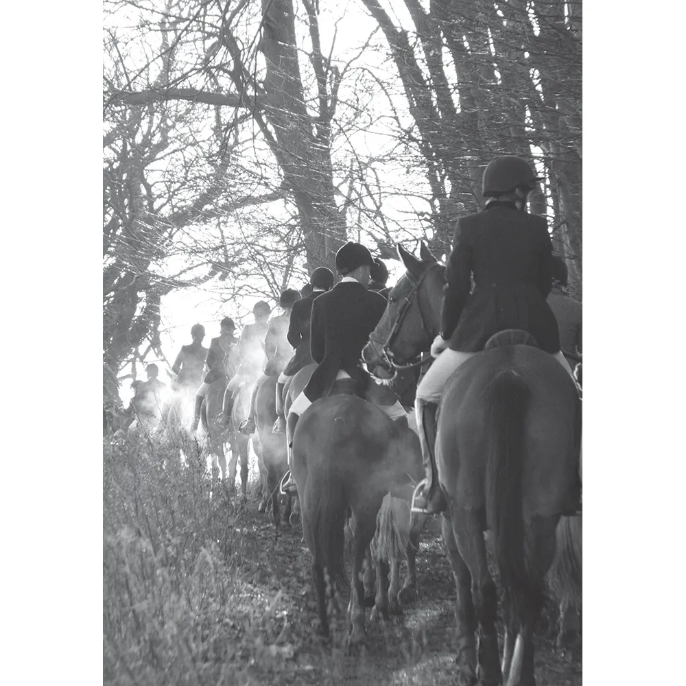 Kevin Milner Countryside Cards - Image 18