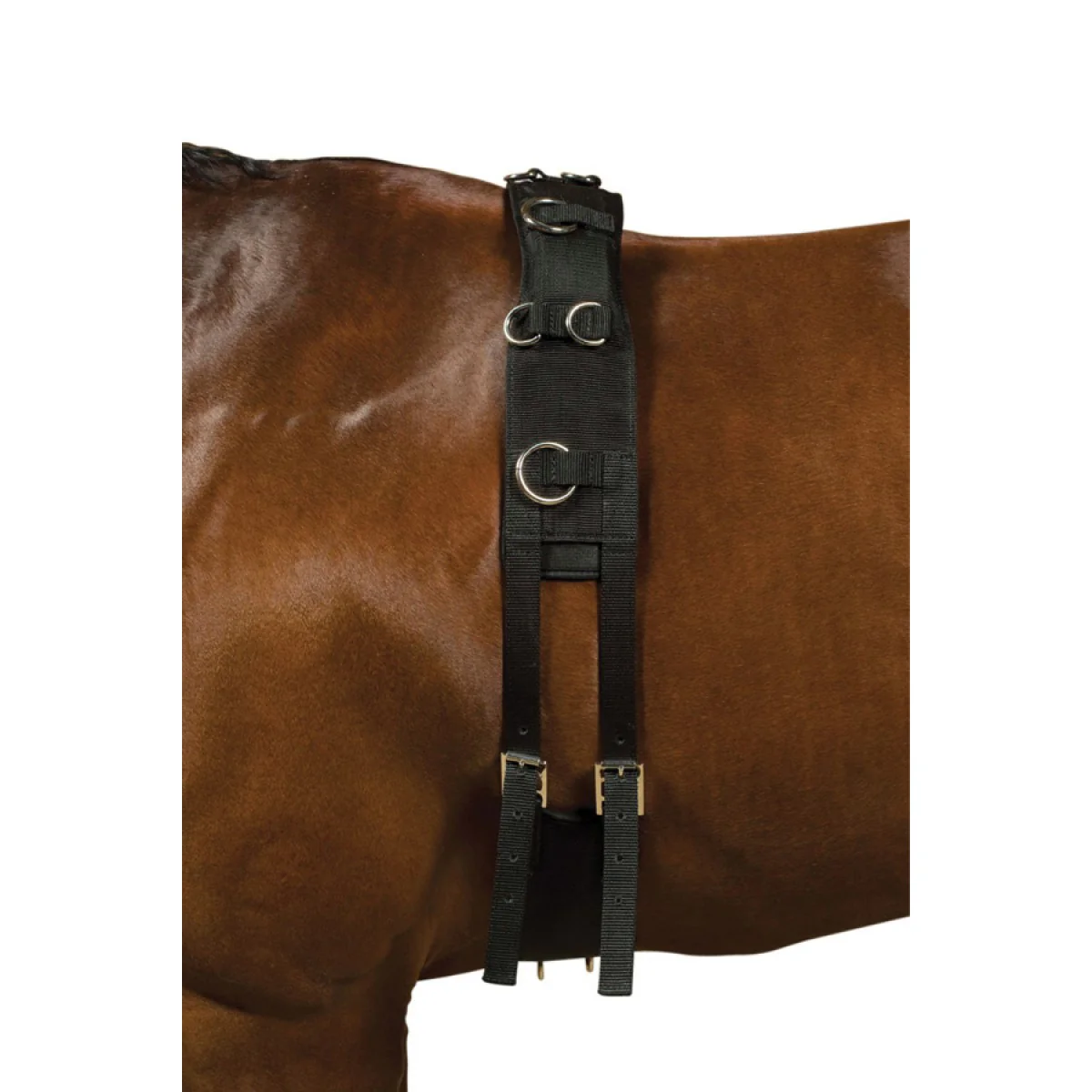 Kincade Deluxe Equigrip Lunge Roller