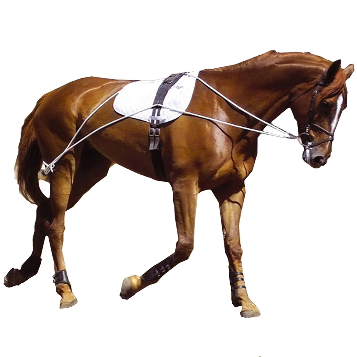 Kincade Lunging Training System