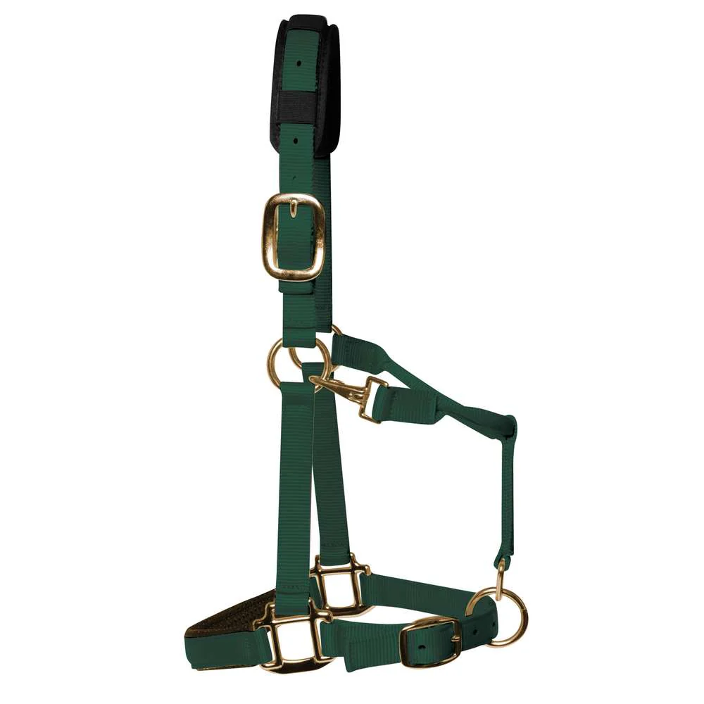 KM Elite Padded Headcollar - Image 10