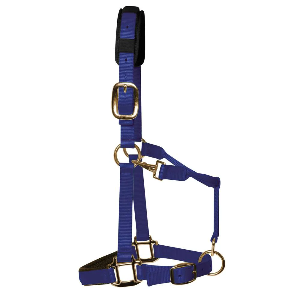 KM Elite Padded Headcollar - Image 16