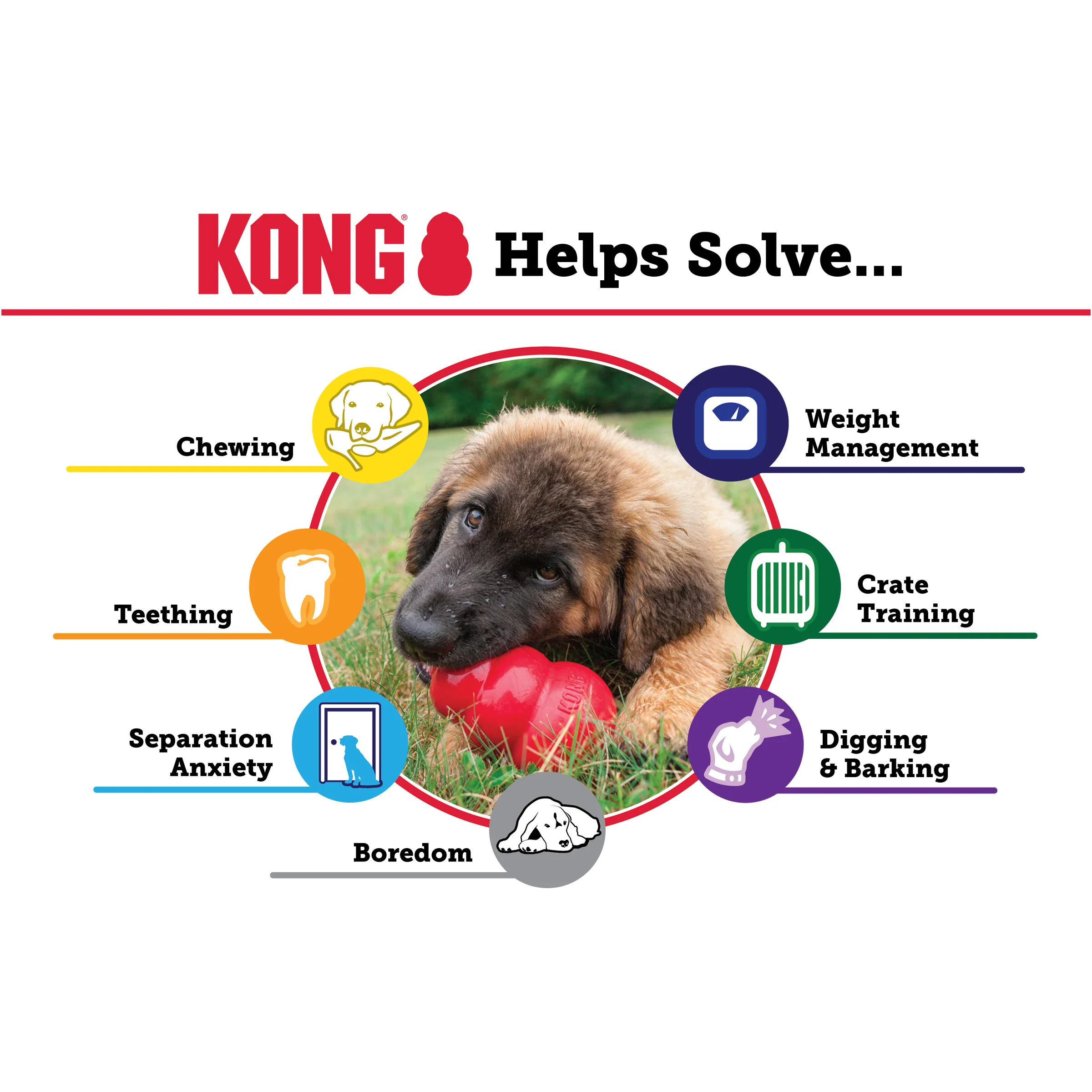 KONG Classic - Image 11