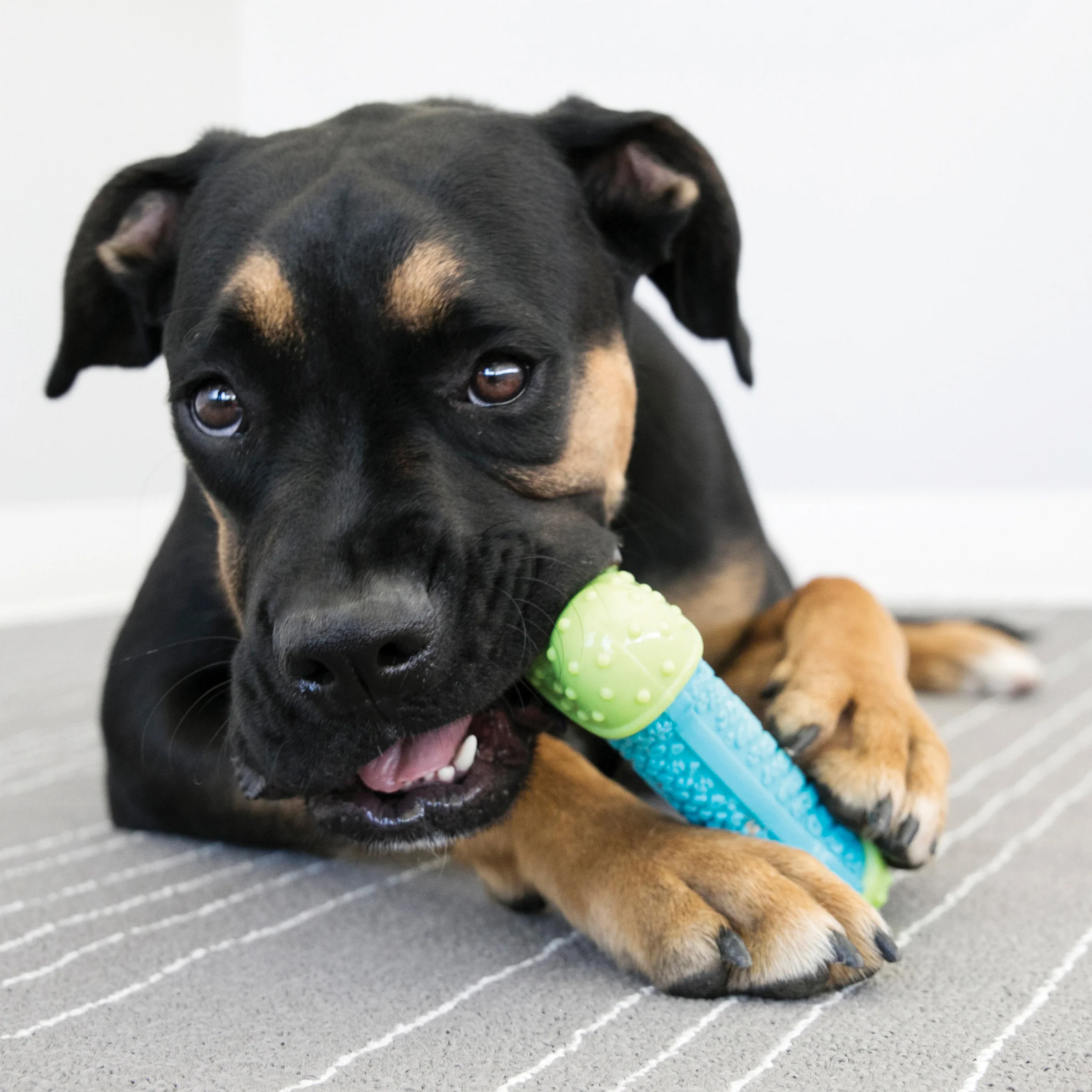 KONG CoreStrength Bone - Image 5