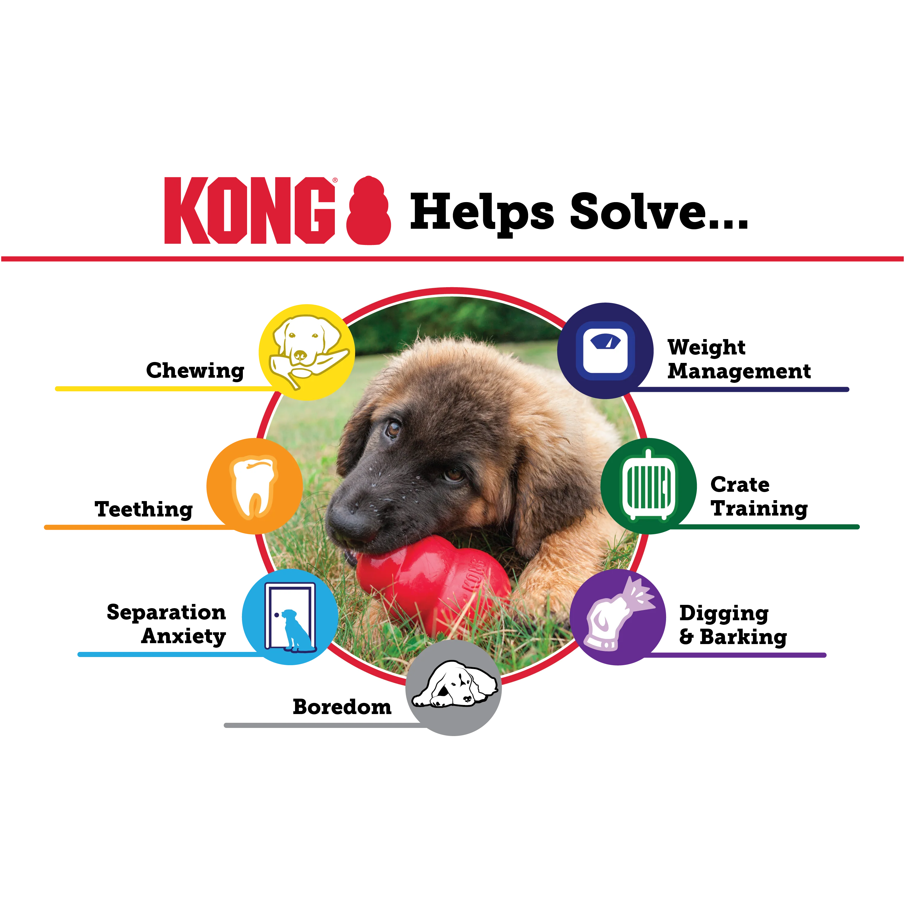 KONG Extreme - Image 5