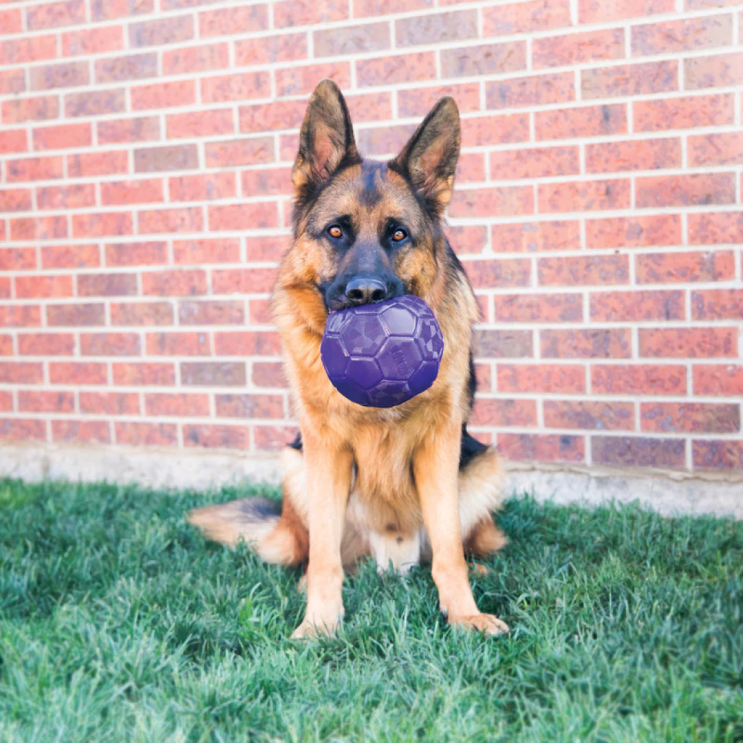 KONG Flexball - Image 4