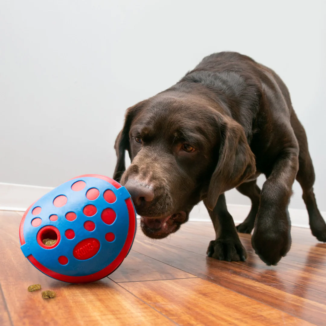 KONG Rewards Wally - Image 5