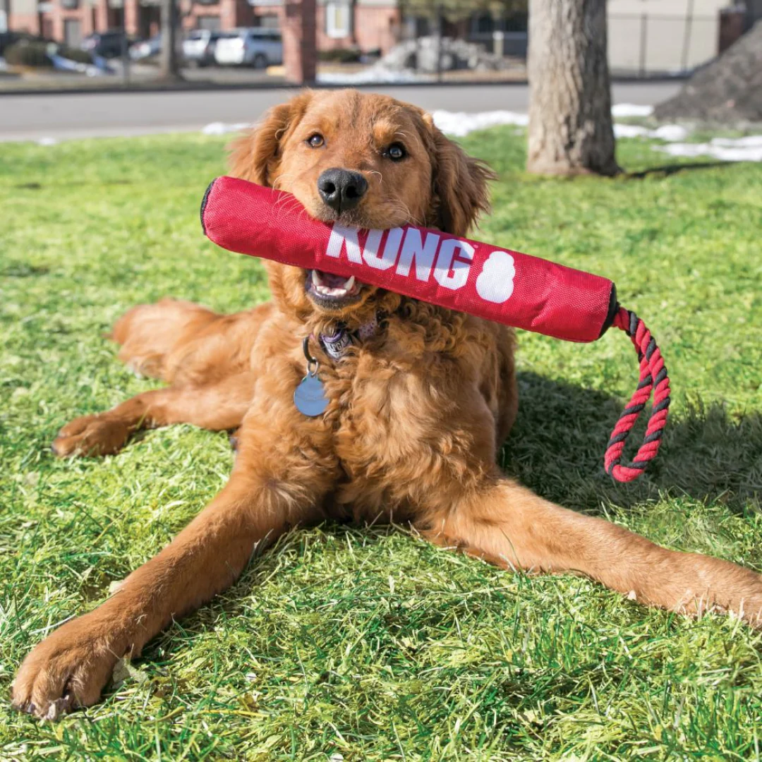 KONG Signature Stick with Rope - Image 3