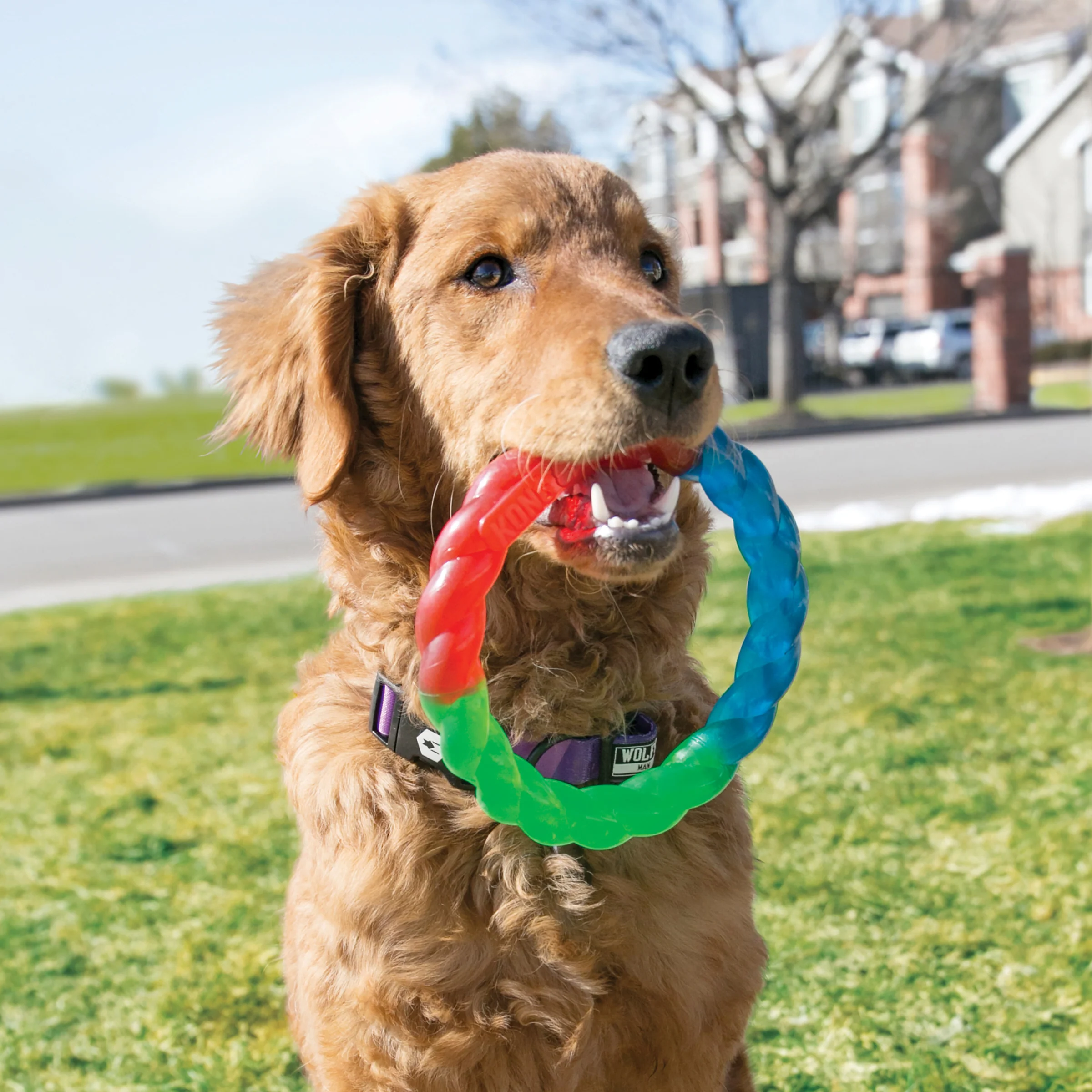 KONG Twistz Ring - Image 8