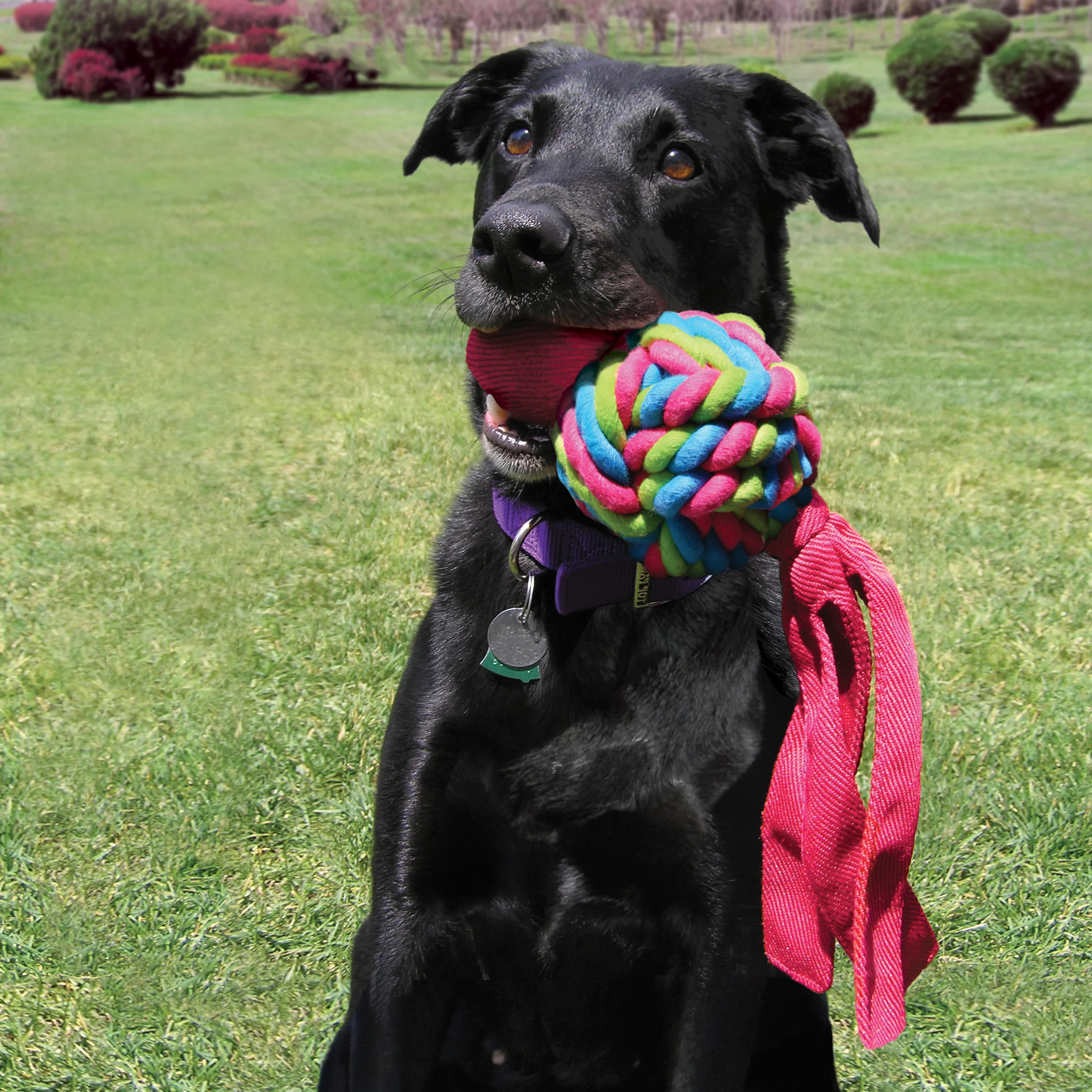 KONG Wubba Weaves - Image 10