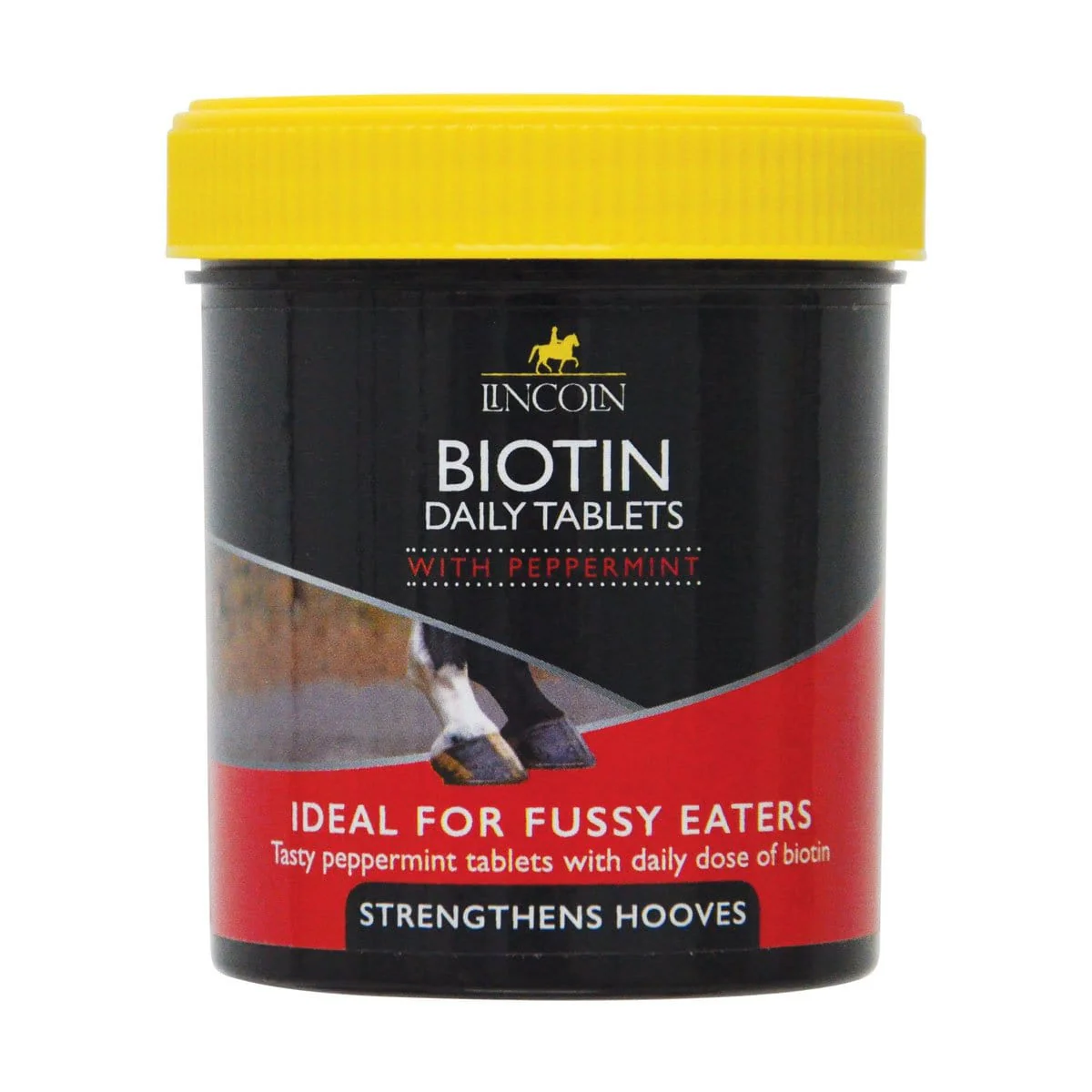 Lincoln Biotin Tablets
