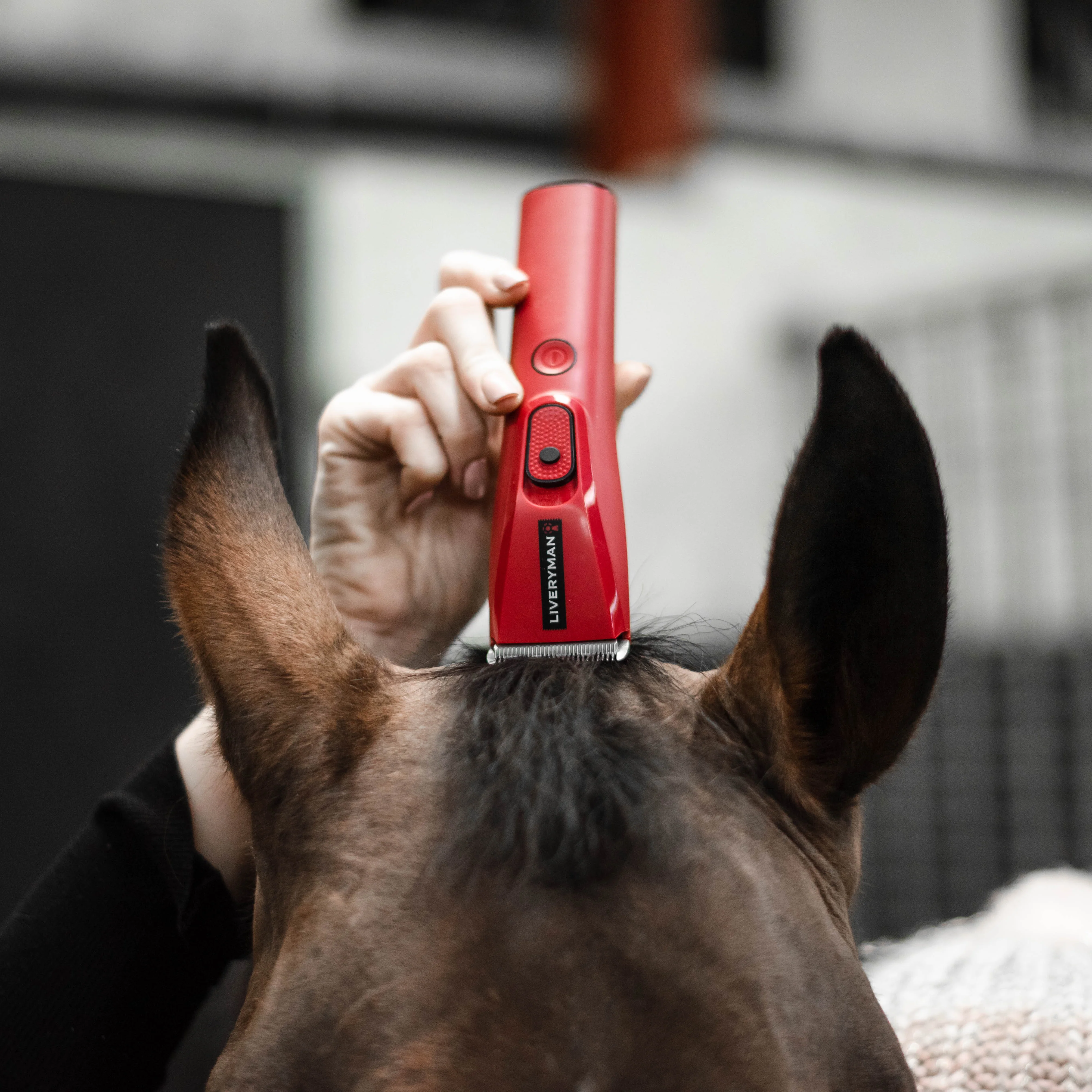 Liveryman Nova Trimmer - Image 2