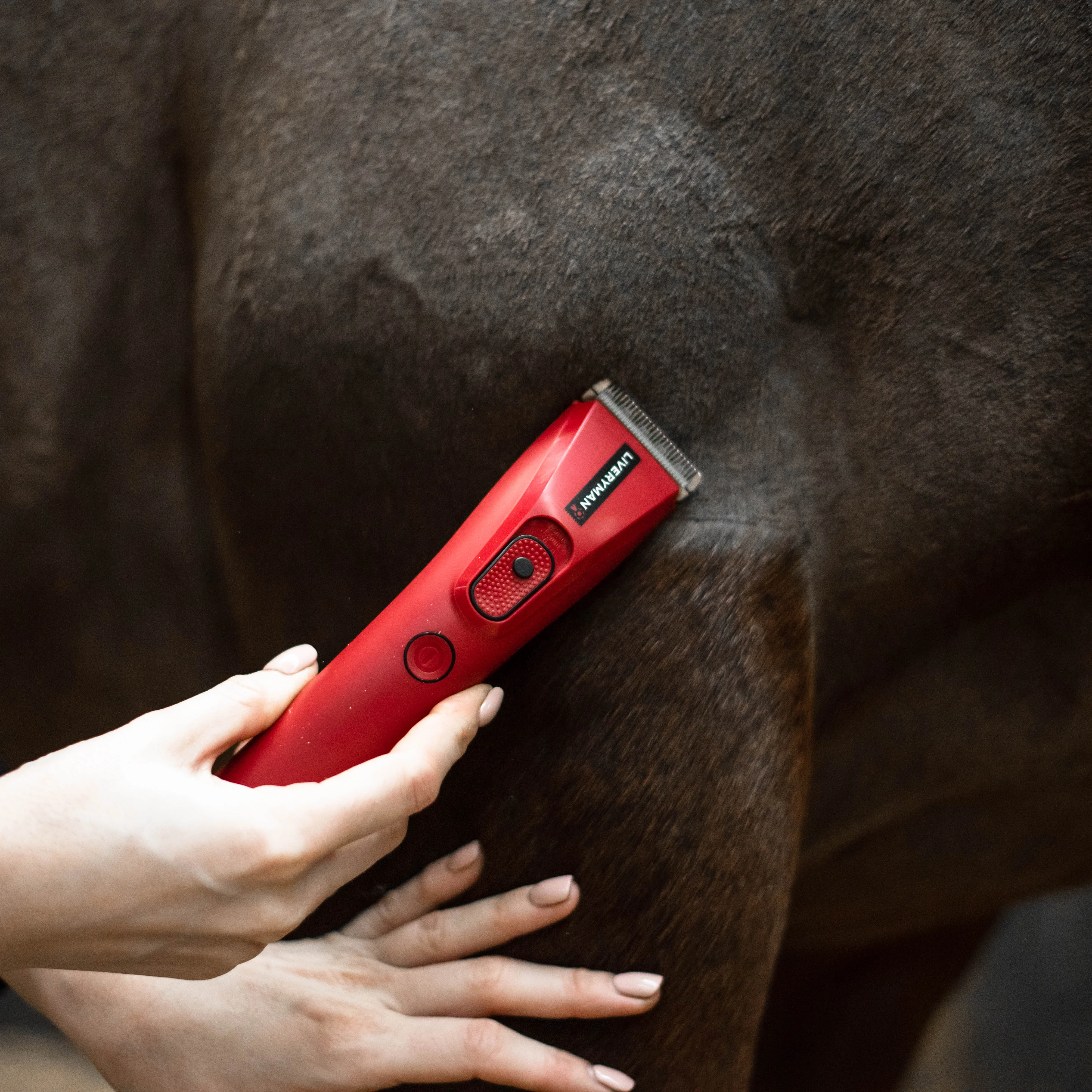 Liveryman Nova Trimmer - Image 4