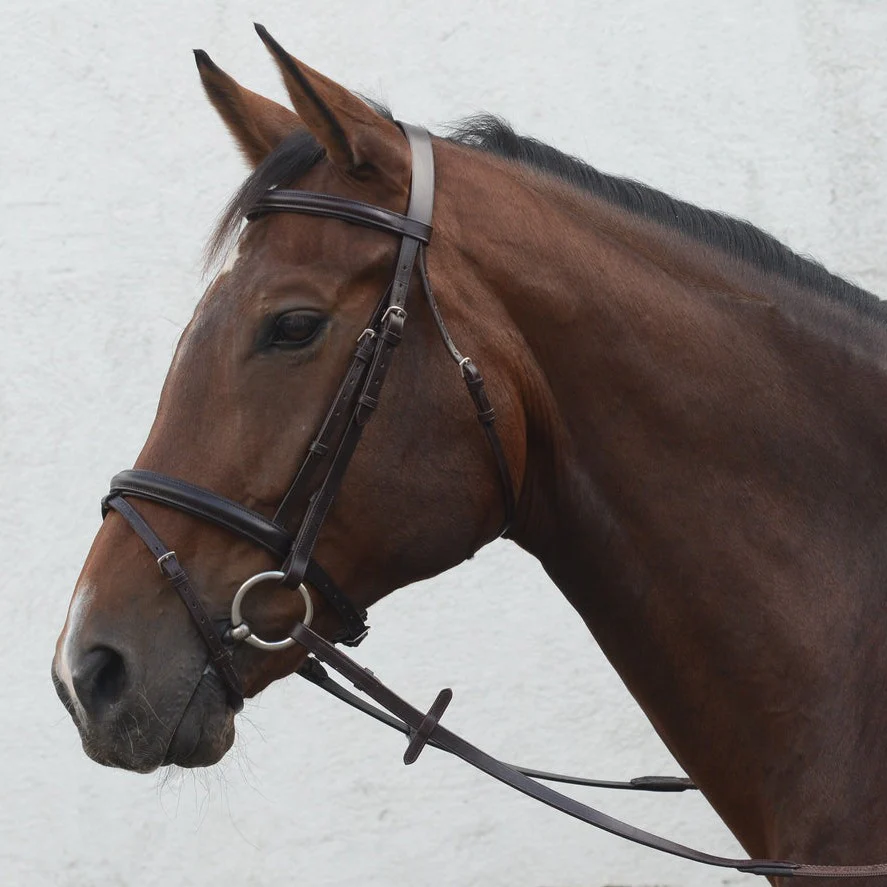 Mackey Classic Flash Bridle - Image 2