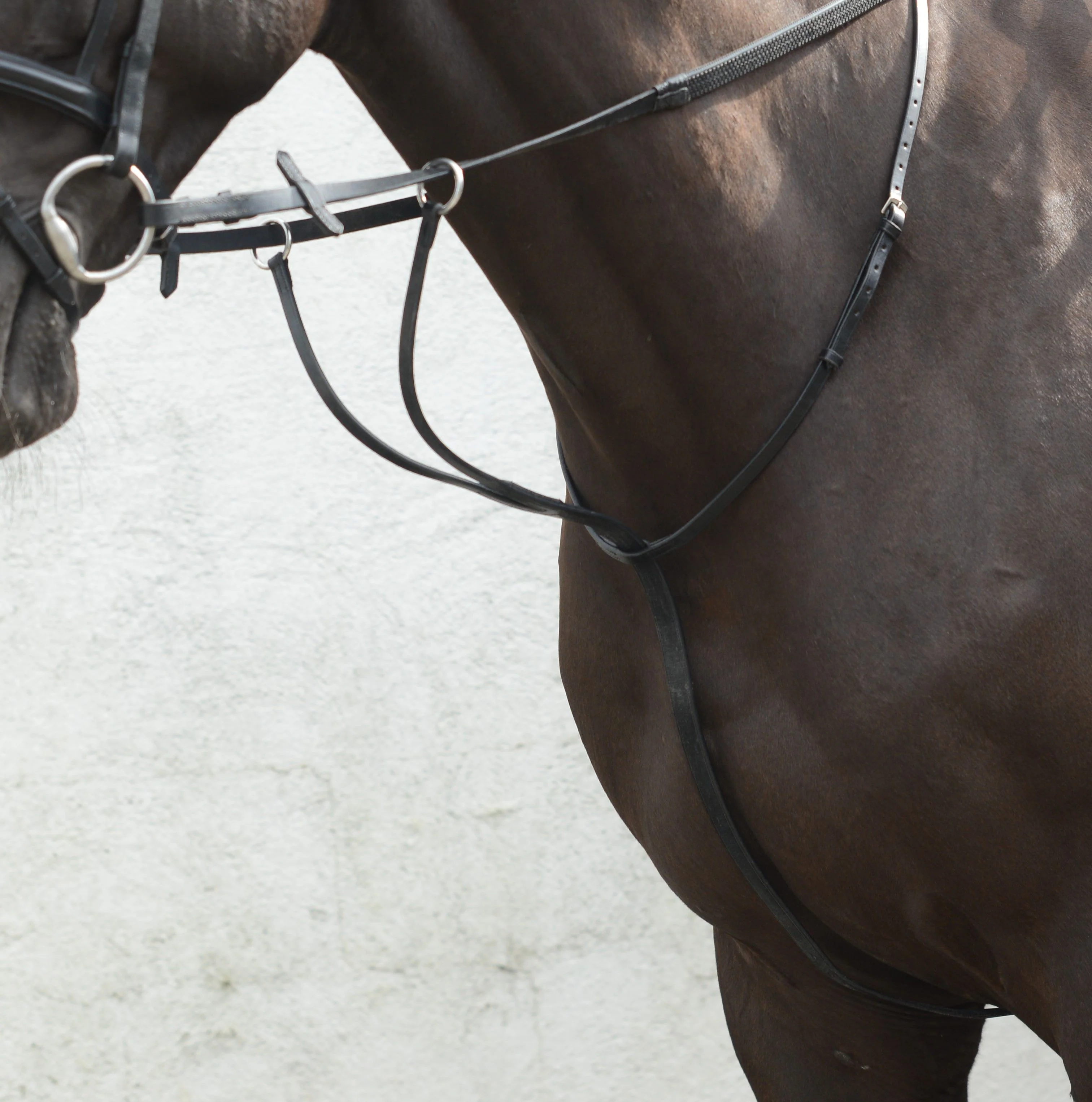 Mackey Equisential Running Martingale