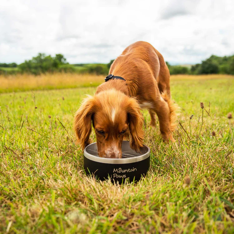 Mountain Paws Basecamp Dog Bowl - Image 2