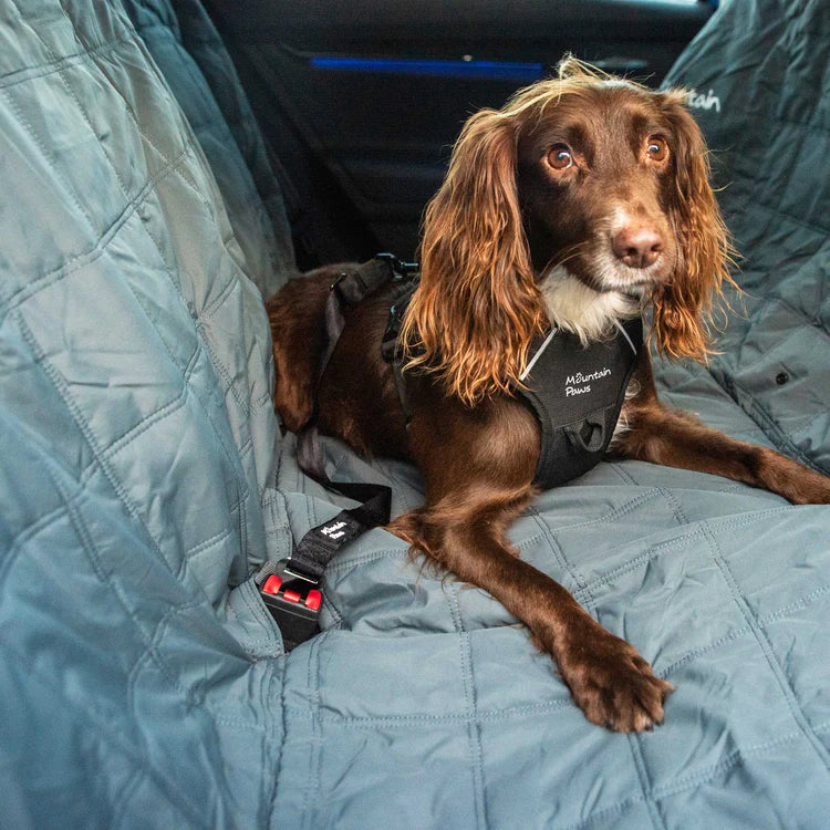 Mountain Paws Dog Seat Belt - Image 2