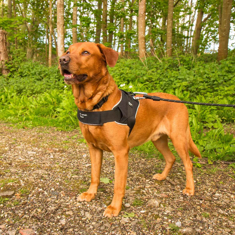 Mountain Paws Extra Tough Dog Harness - Image 5