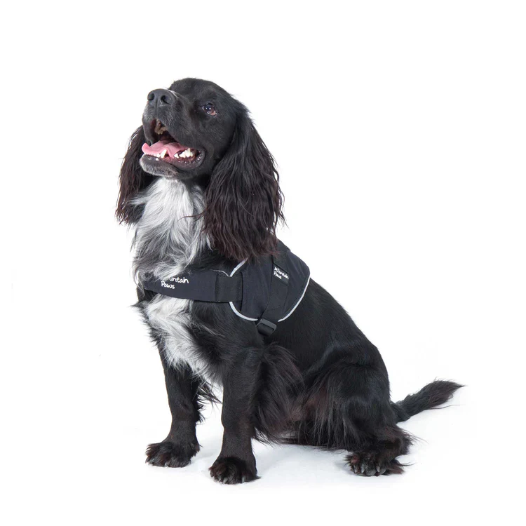 Mountain Paws Extra Tough Dog Harness - Image 7