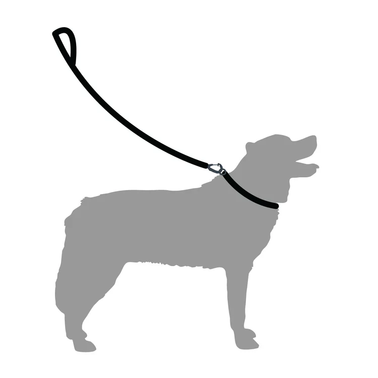Mountain Paws Rope Dog Lead - Image 13