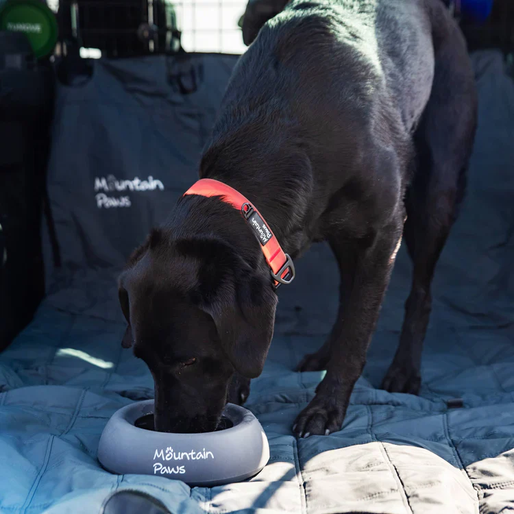 Mountain Paws Splashproof Dog Bowl - Image 3