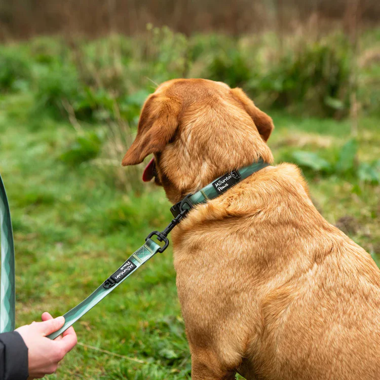 Mountain Paws Waterproof Dog Lead - Image 7