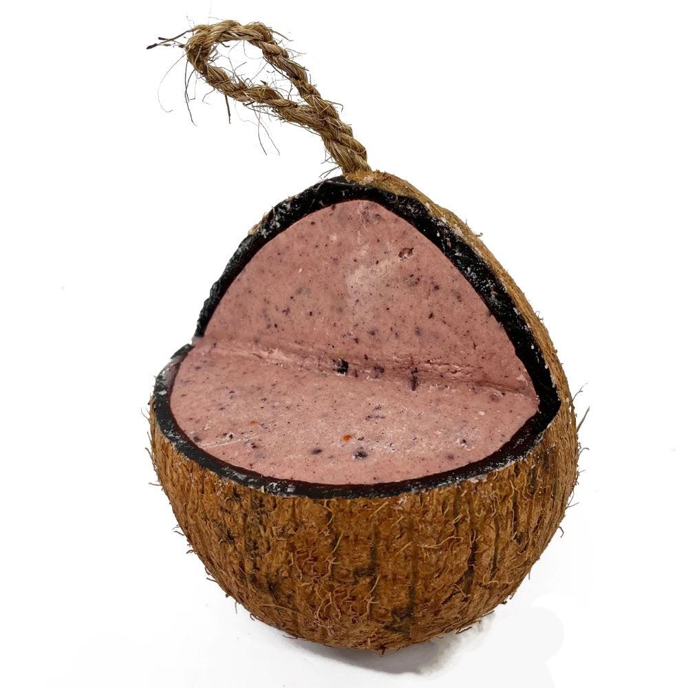 Natures Grub Coconut - Image 2