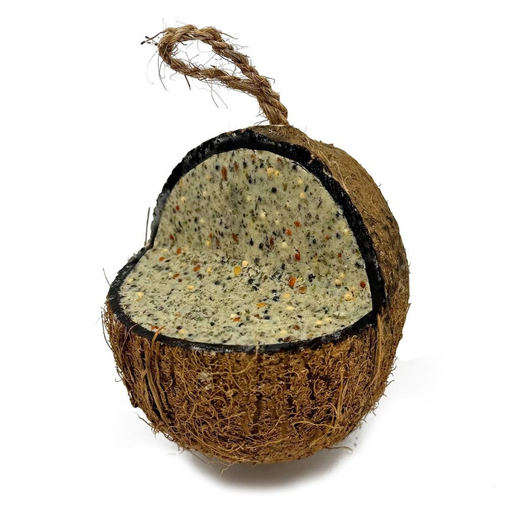 Natures Grub Coconut - Image 3