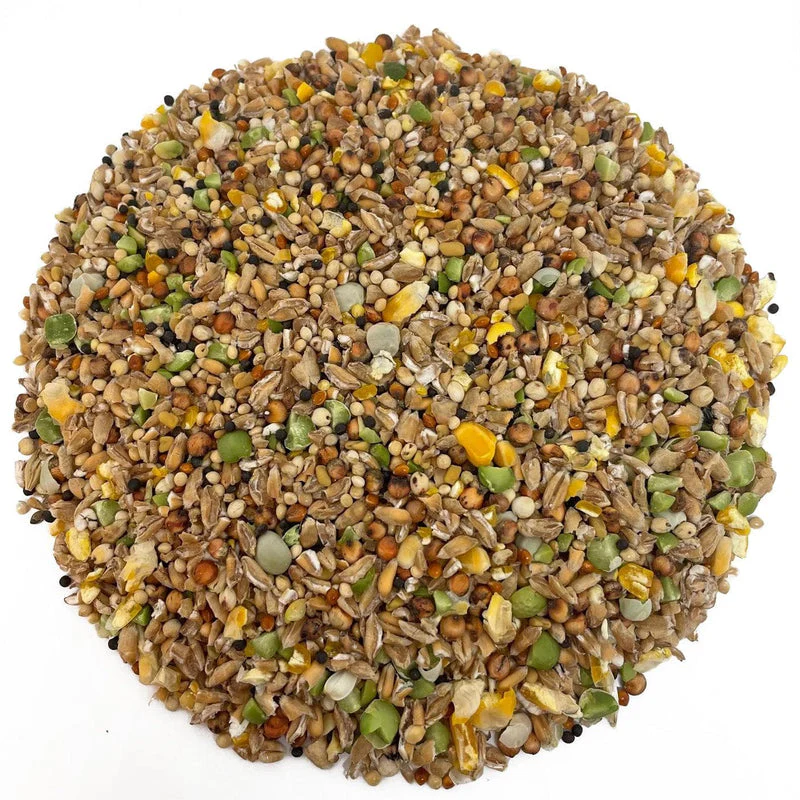 Nature's Grub Coop Mix Plus - Image 2