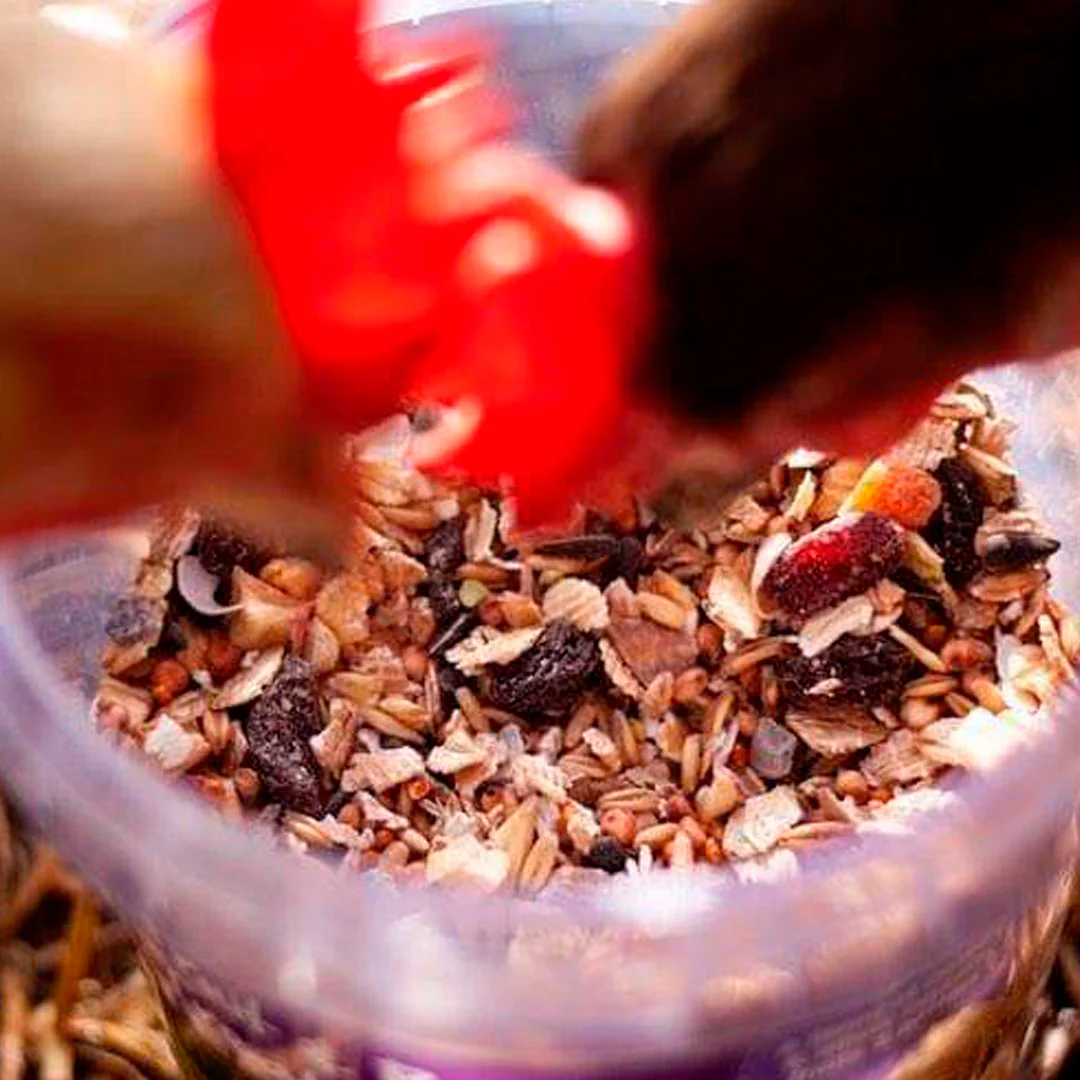 Natures Grub Fruit and Berry Poultry Treat Mix - Image 2