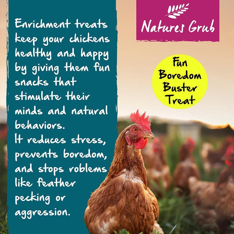Natures Grub Peck 'N' Play Hanging Treat - Image 3