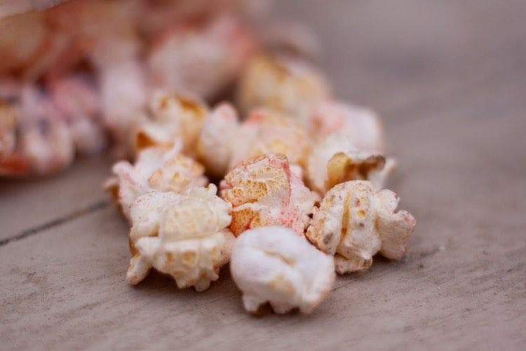 Nature's Grub Popcorn Treat with Fruit - Image 2