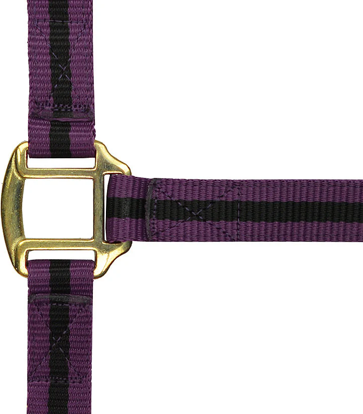 Norton Leather Lined Nylon Headcollar - Image 13