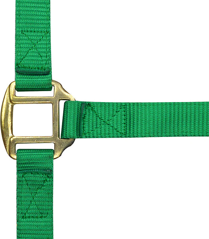 Norton Leather Lined Nylon Headcollar - Image 6