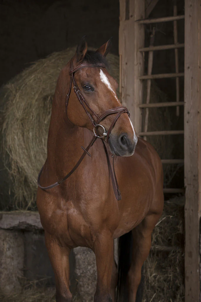Norton Pro Rubber Reins 16mm - Image 3