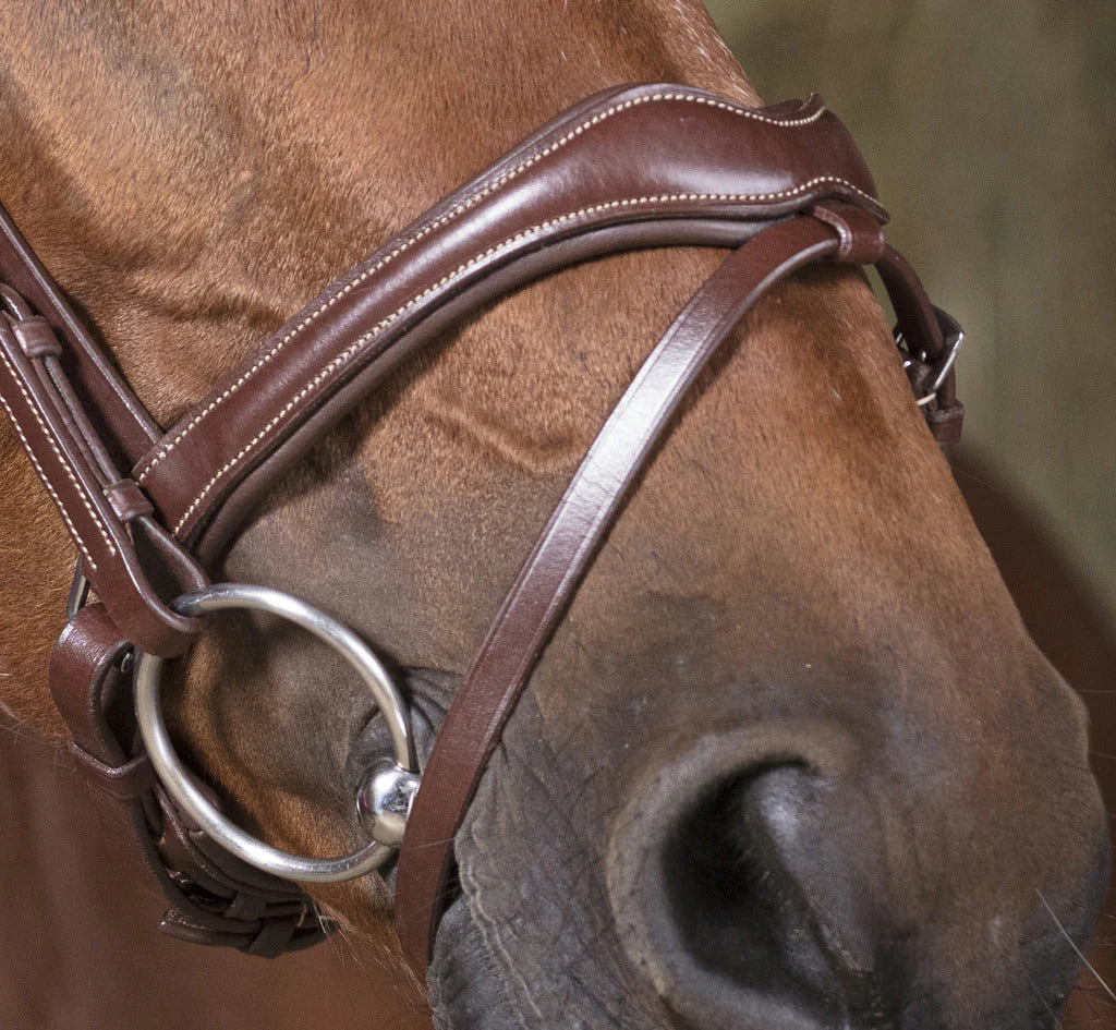 Norton Pro Vague Bridle - Image 4
