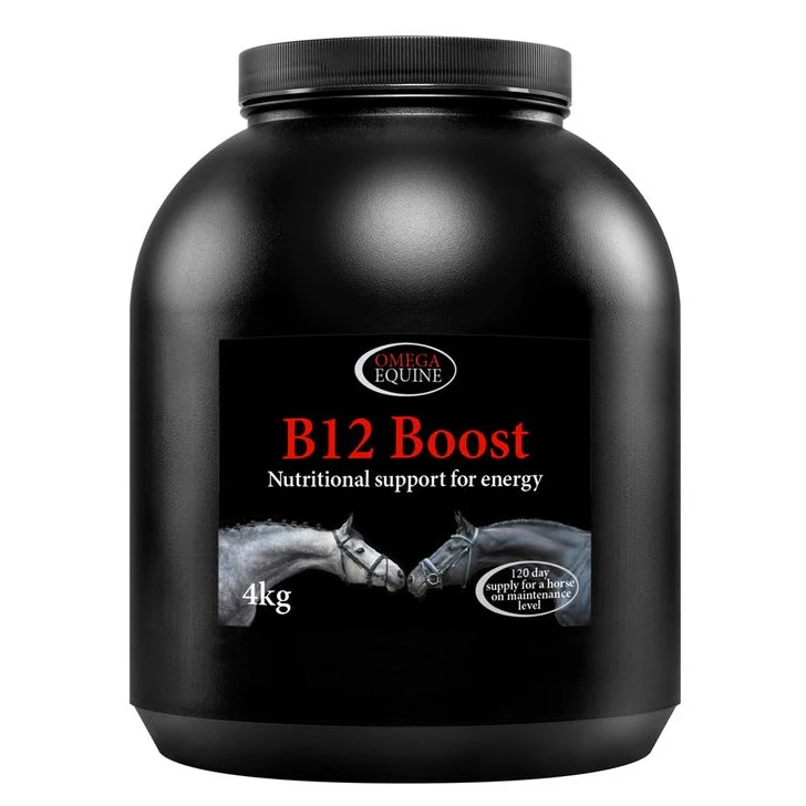 Omega B12 - Image 2