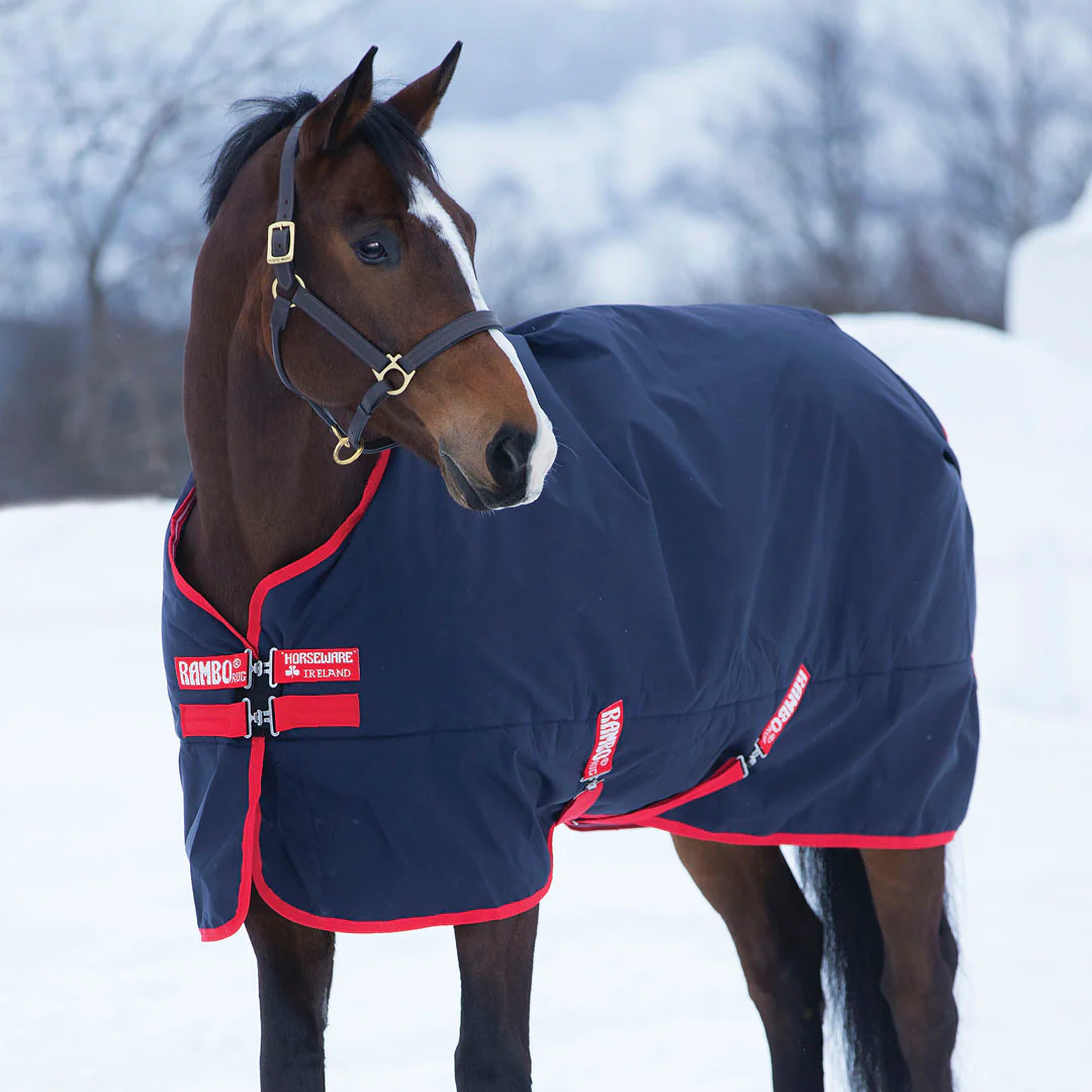 Horseware Ireland Rambo Original 200g Medium Turnout Rug - Image 3