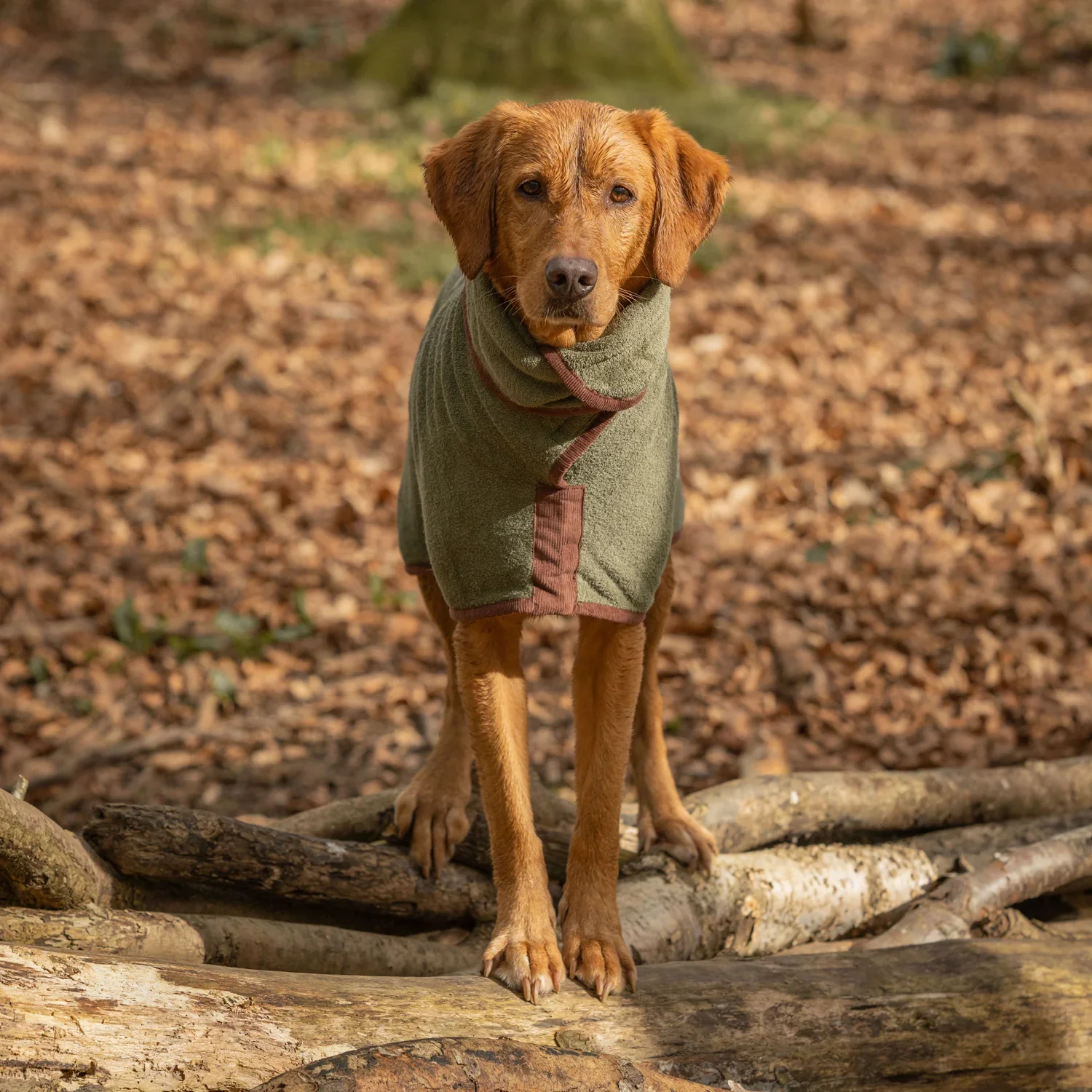 Ruff & Tumble Country Dog Drying Coat - Image 12